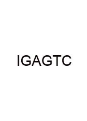 Is Glass A Good Thermal Conductor