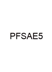 Physics For Scientists And Engineers 5e