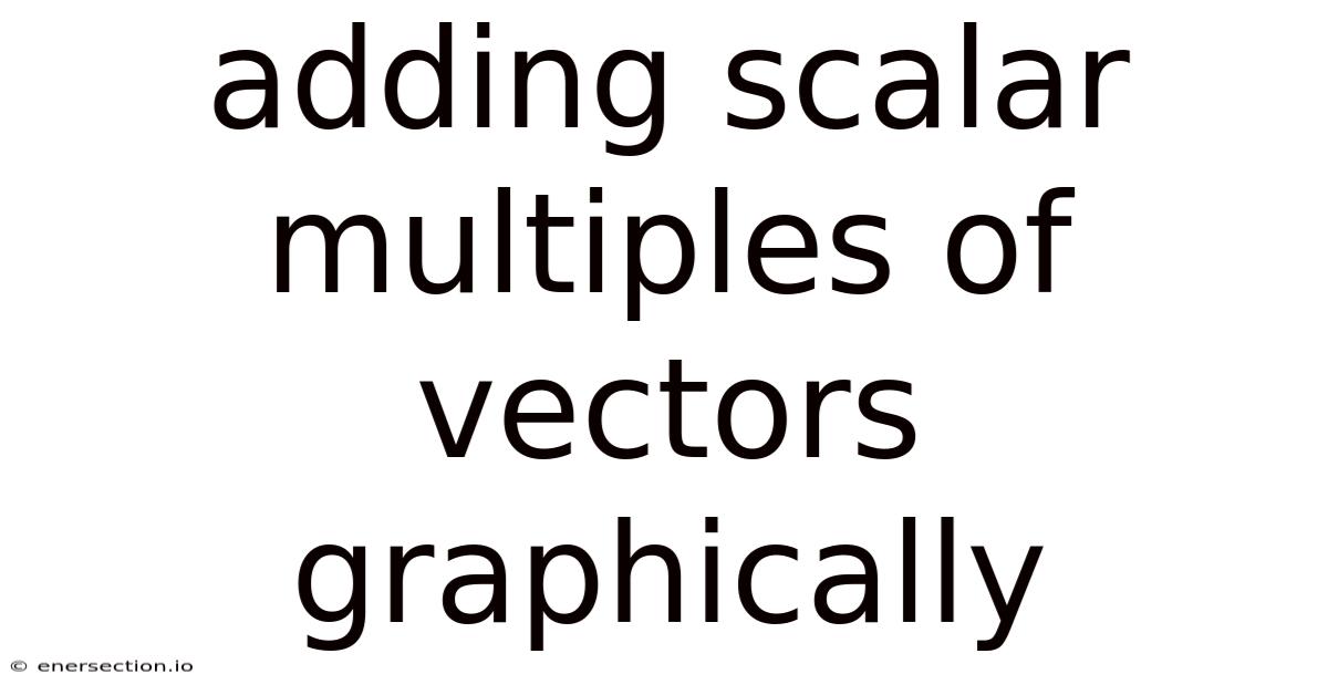 Adding Scalar Multiples Of Vectors Graphically
