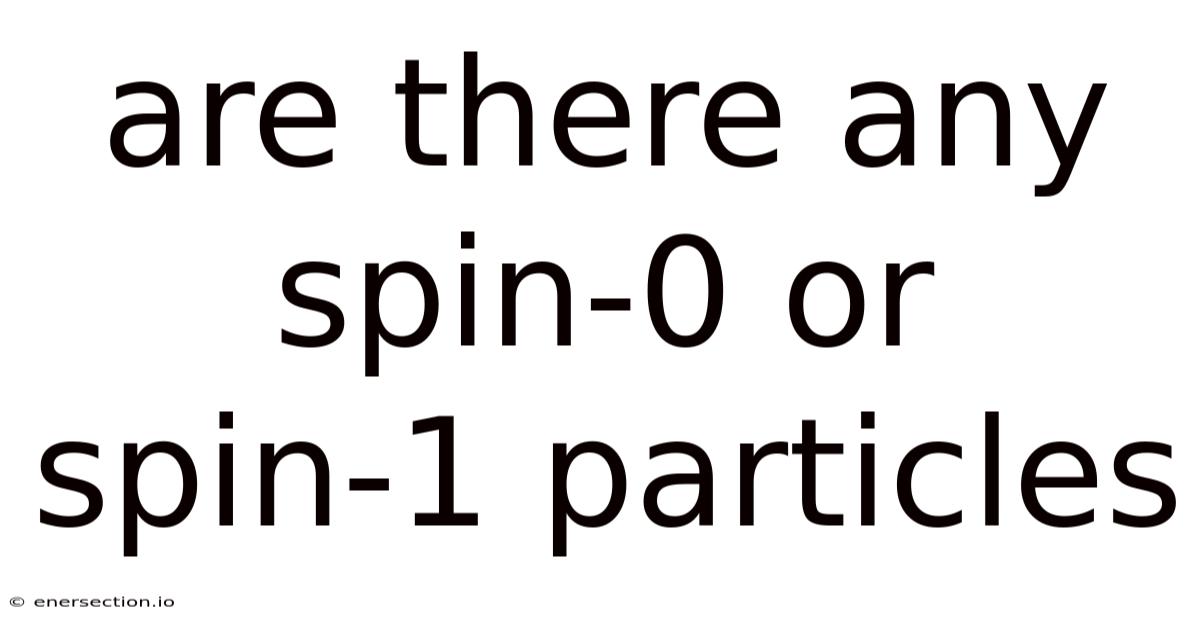 Are There Any Spin-0 Or Spin-1 Particles