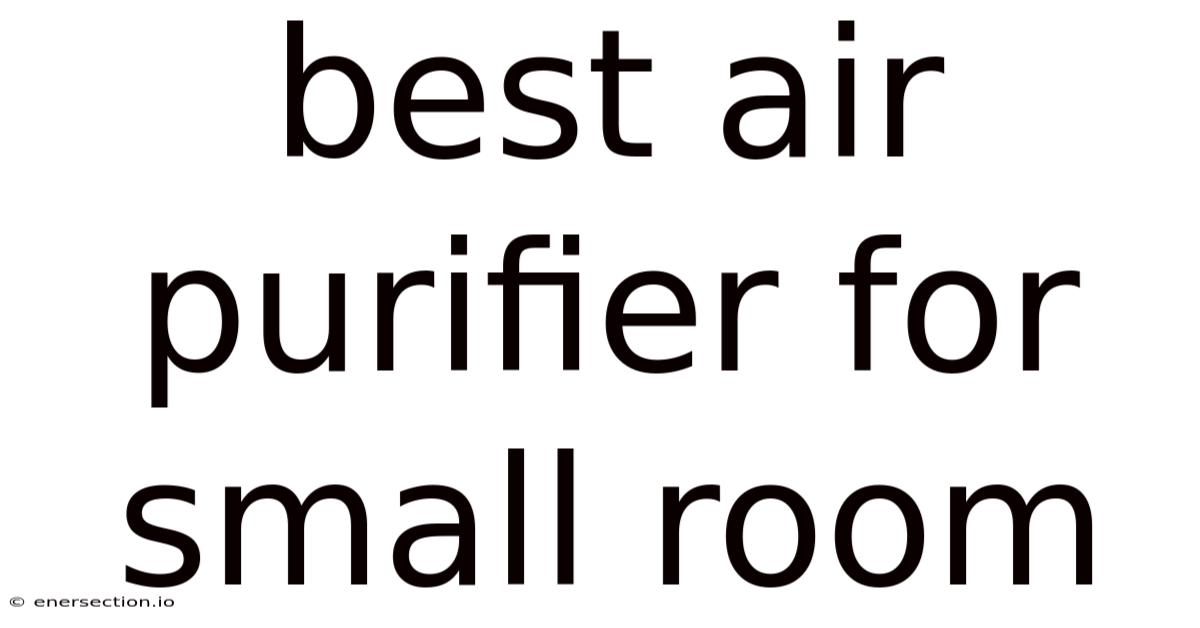 Best Air Purifier For Small Room
