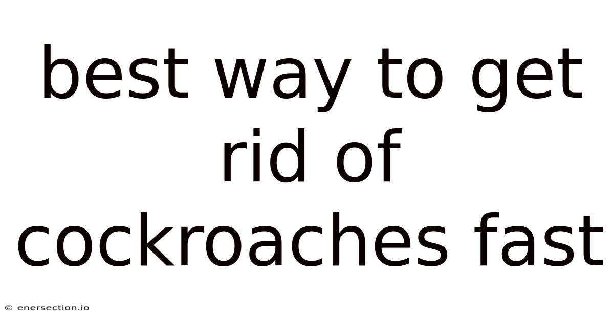 Best Way To Get Rid Of Cockroaches Fast