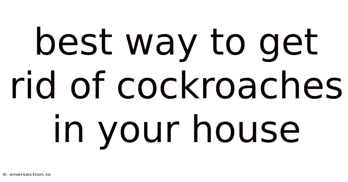 Best Way To Get Rid Of Cockroaches In Your House