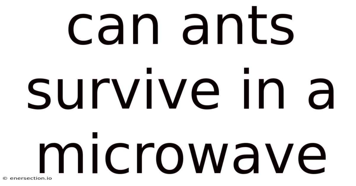 Can Ants Survive In A Microwave