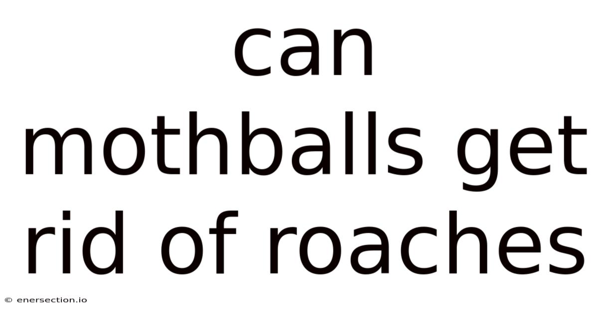 Can Mothballs Get Rid Of Roaches