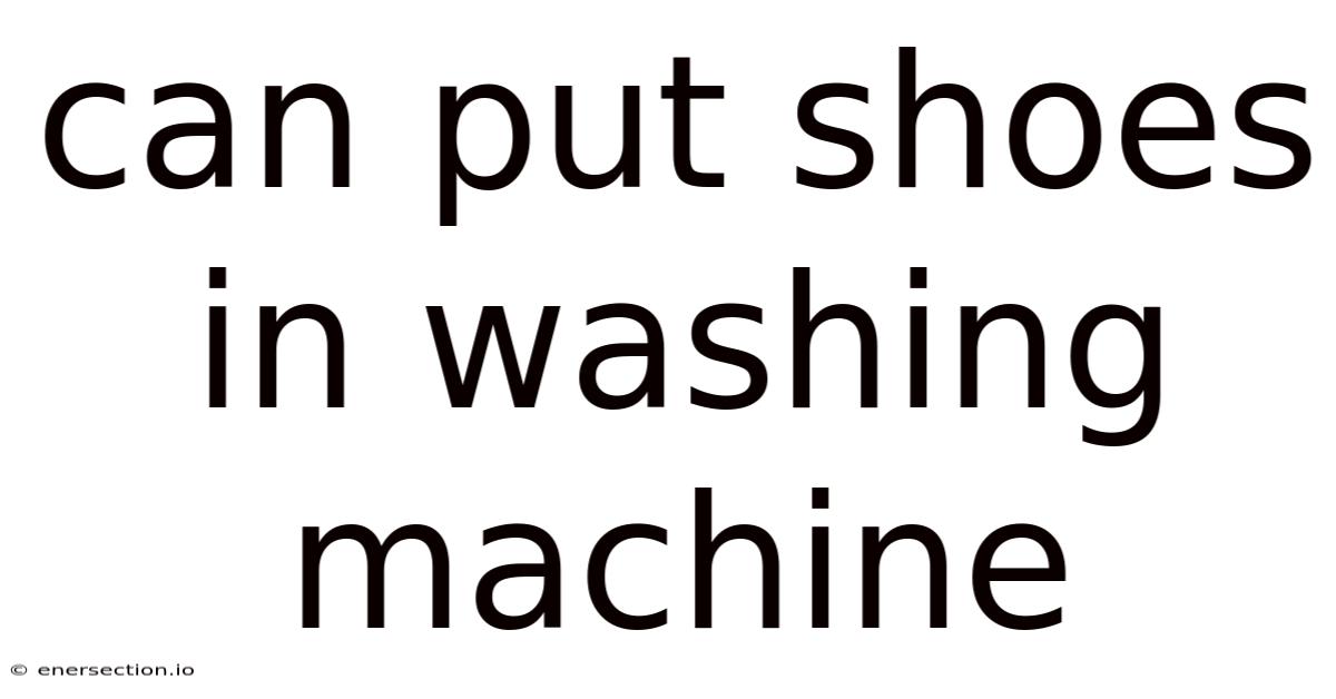 Can Put Shoes In Washing Machine