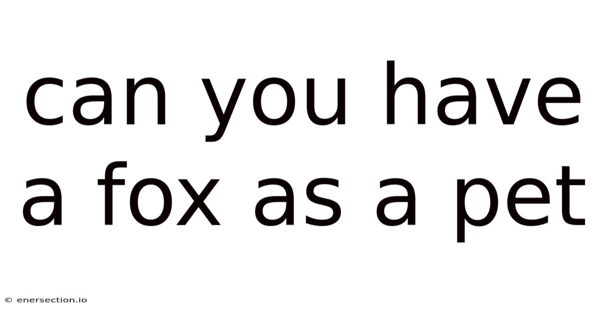 Can You Have A Fox As A Pet