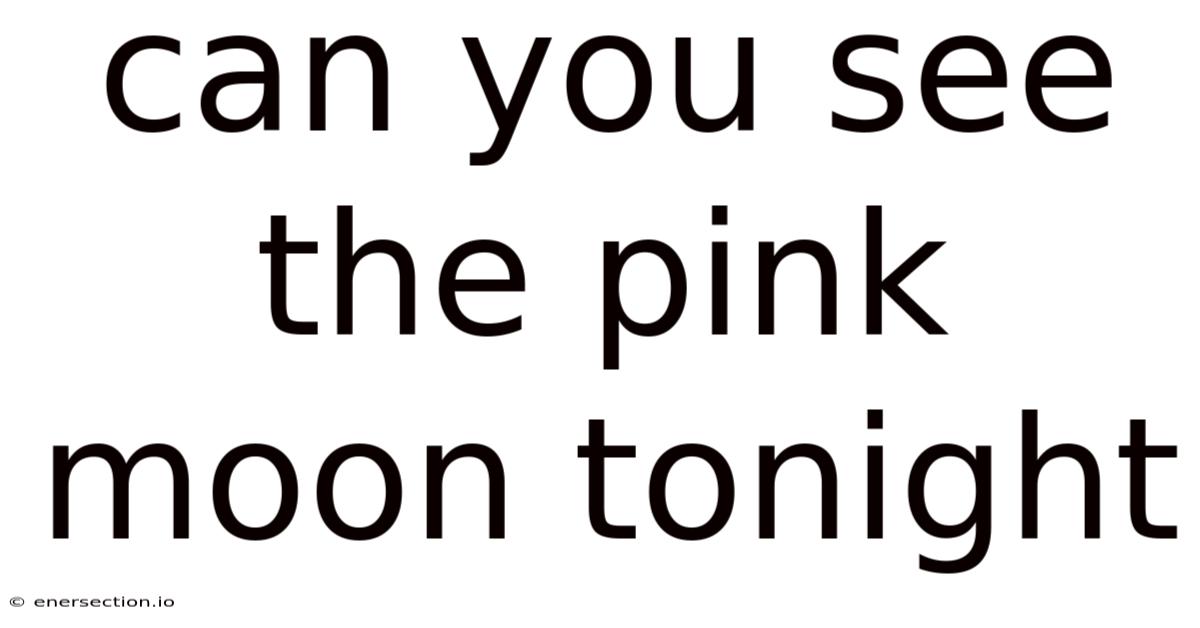 Can You See The Pink Moon Tonight