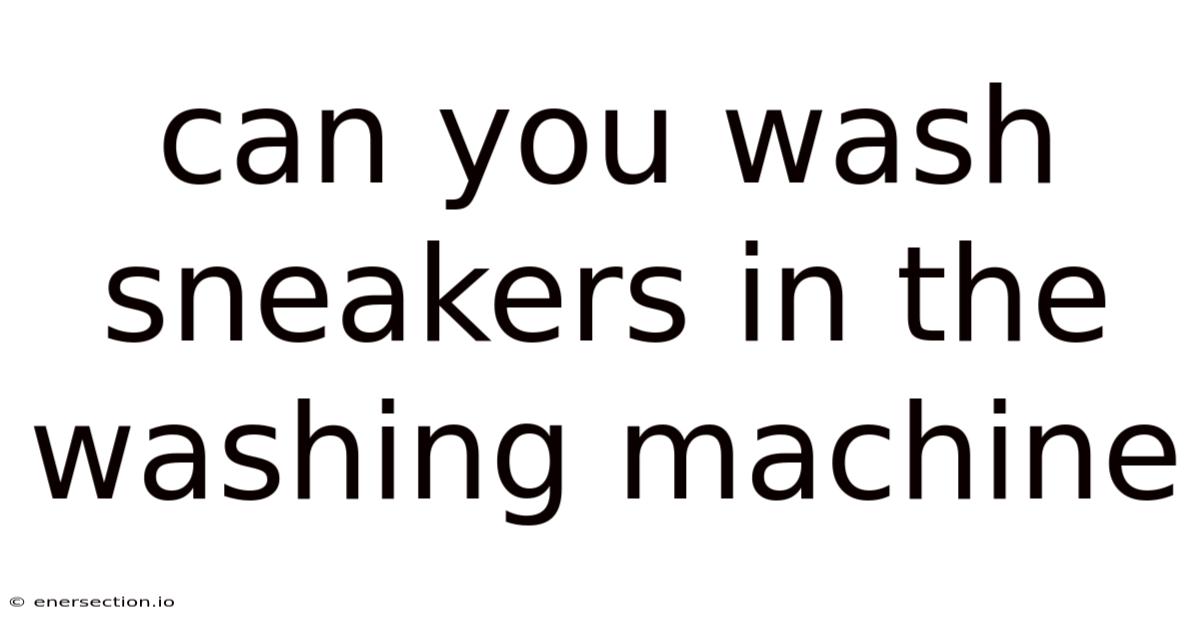 Can You Wash Sneakers In The Washing Machine