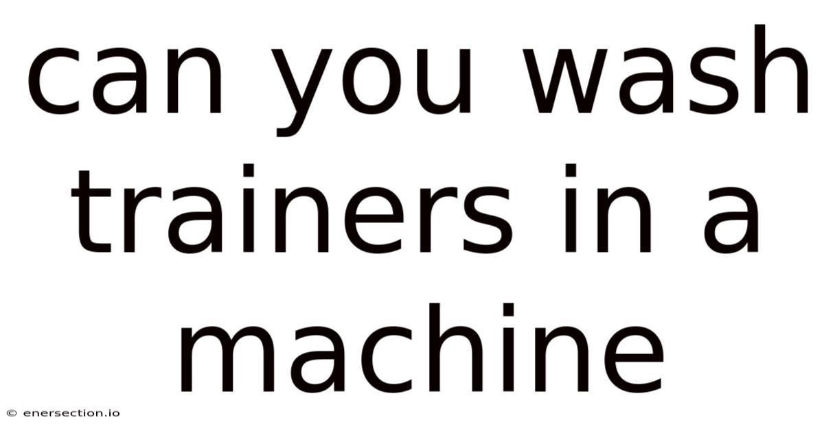 Can You Wash Trainers In A Machine