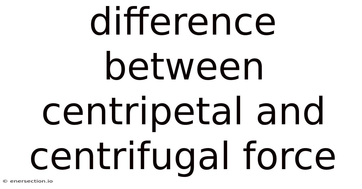 Difference Between Centripetal And Centrifugal Force
