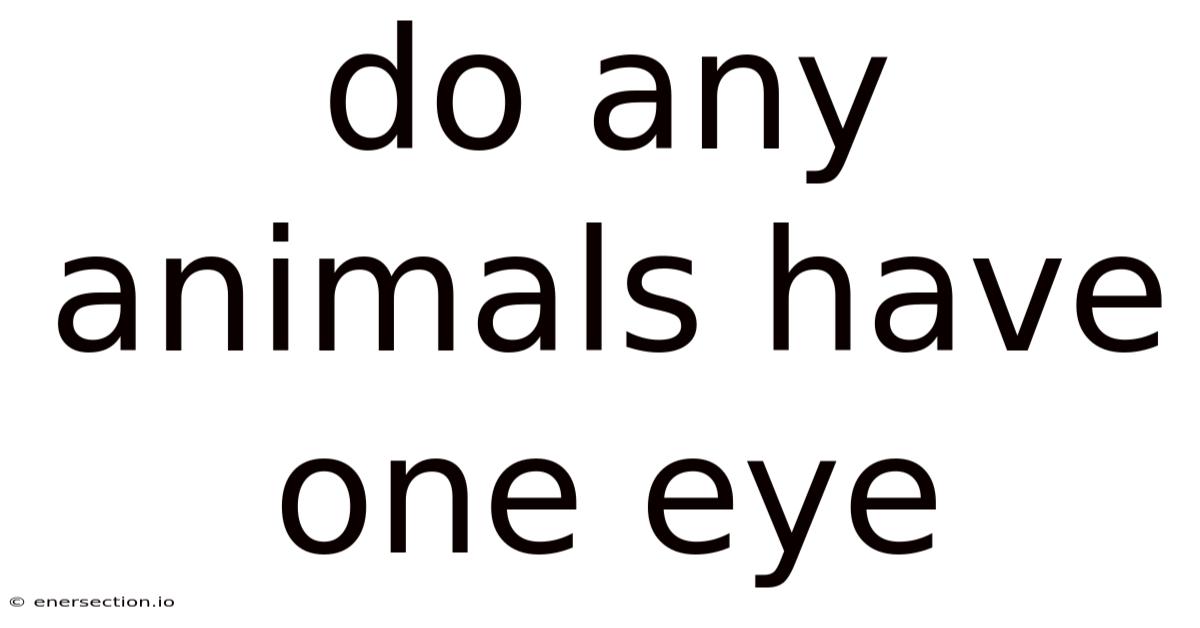 Do Any Animals Have One Eye