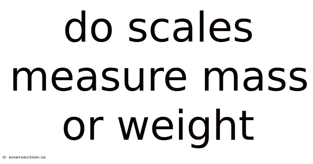 Do Scales Measure Mass Or Weight