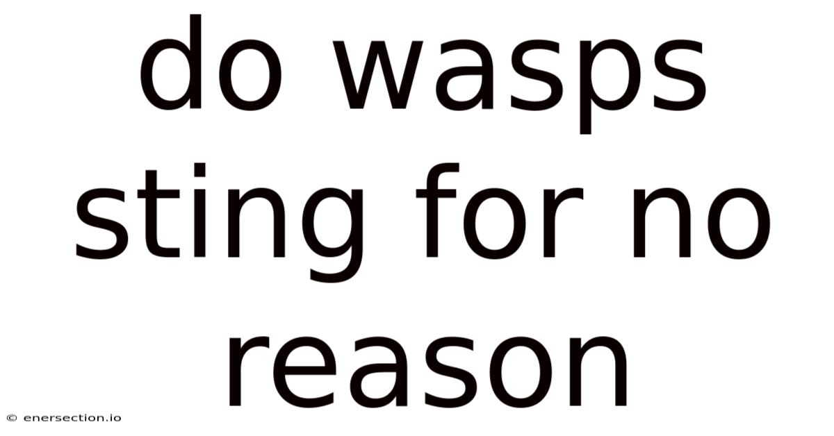 Do Wasps Sting For No Reason
