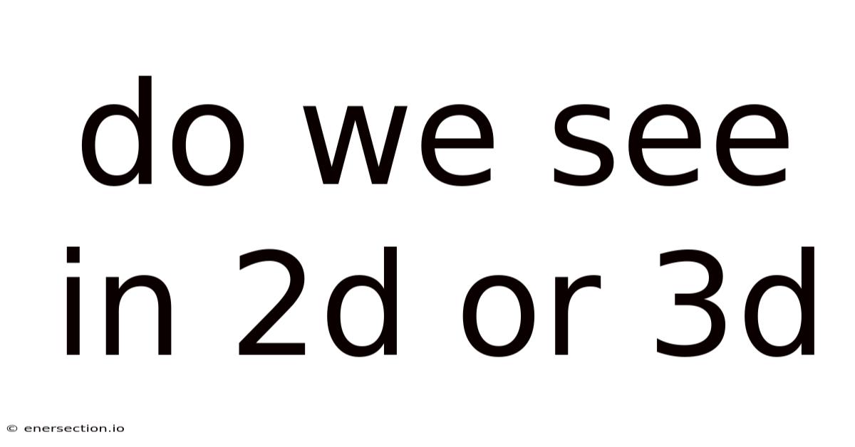 Do We See In 2d Or 3d