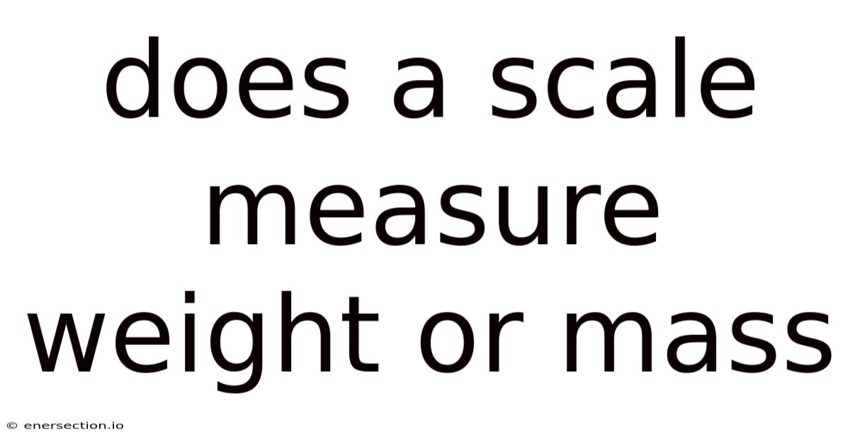Does A Scale Measure Weight Or Mass