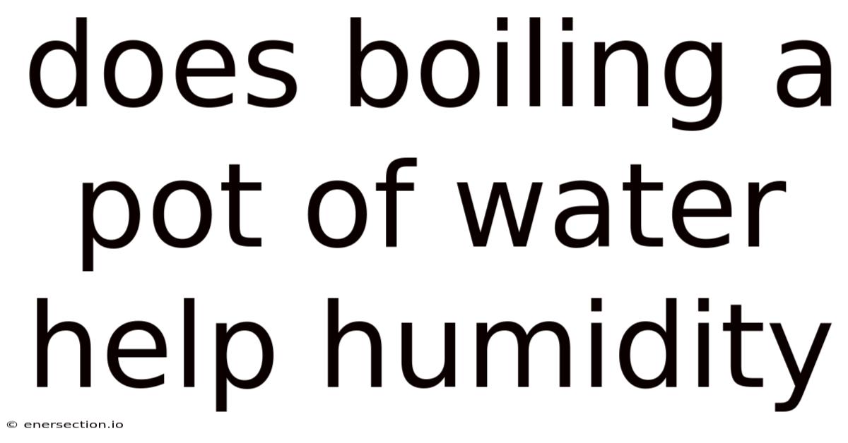 Does Boiling A Pot Of Water Help Humidity