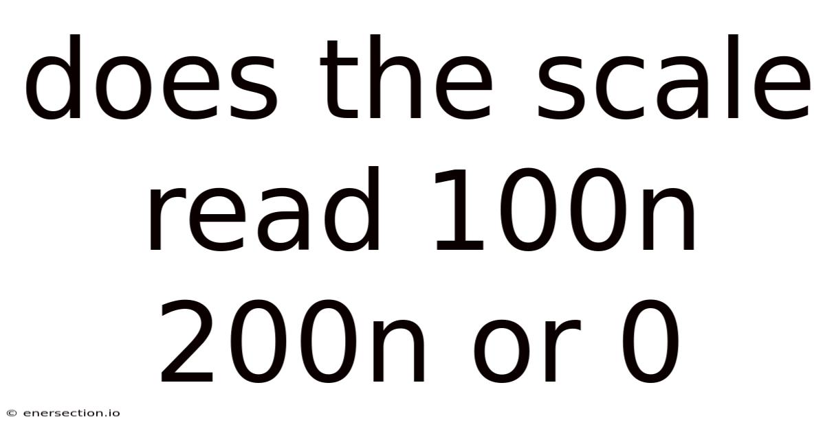 Does The Scale Read 100n 200n Or 0