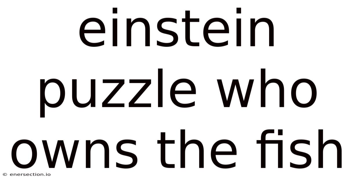 Einstein Puzzle Who Owns The Fish