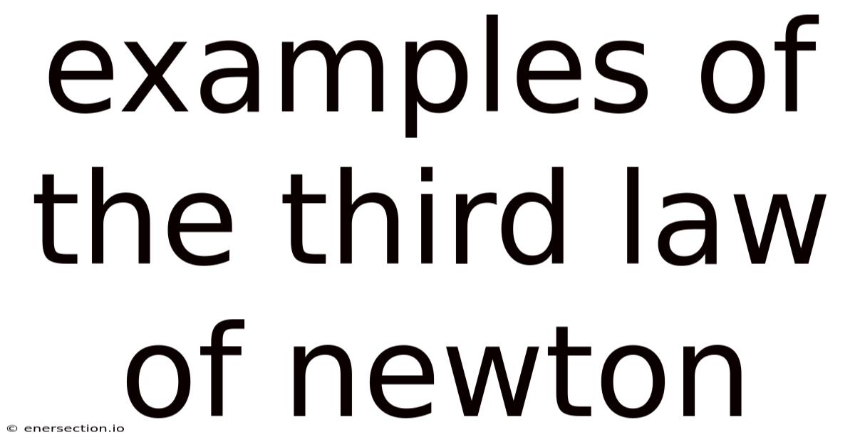 Examples Of The Third Law Of Newton