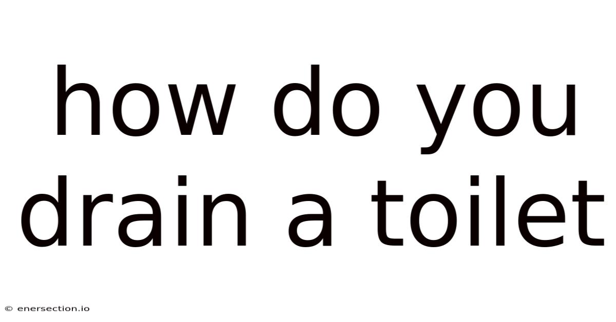 How Do You Drain A Toilet