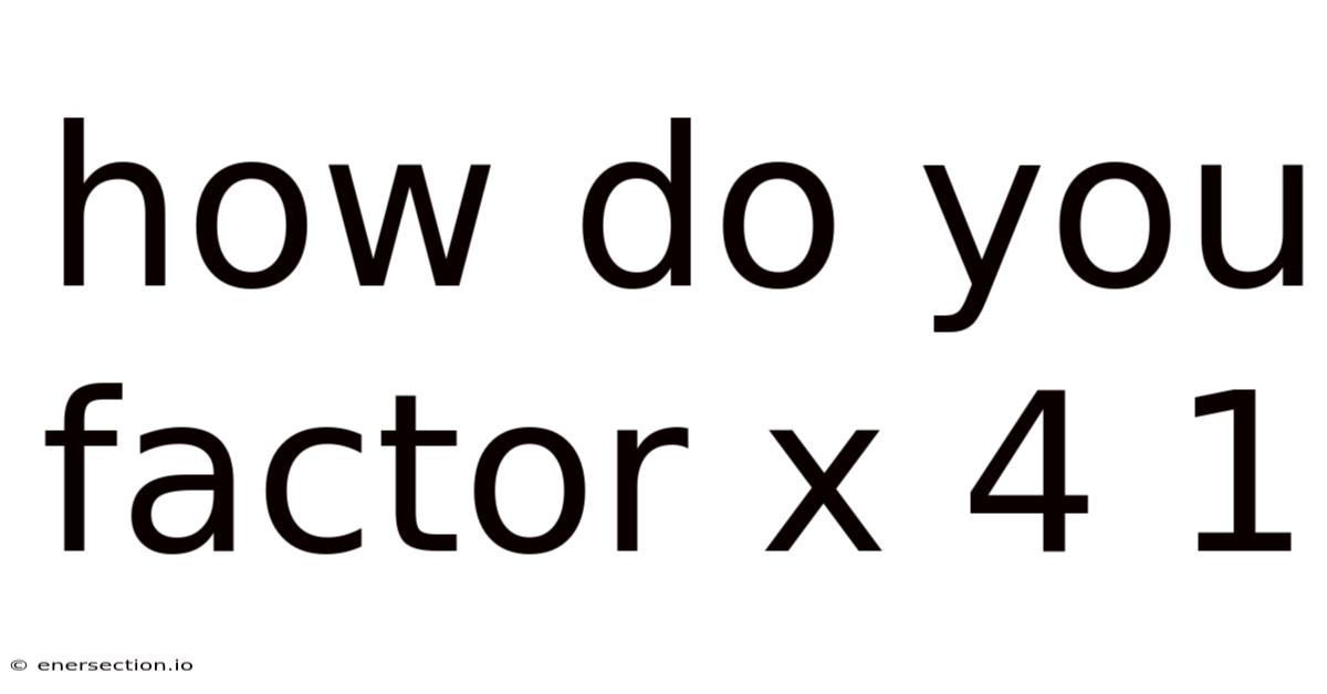 How Do You Factor X 4 1