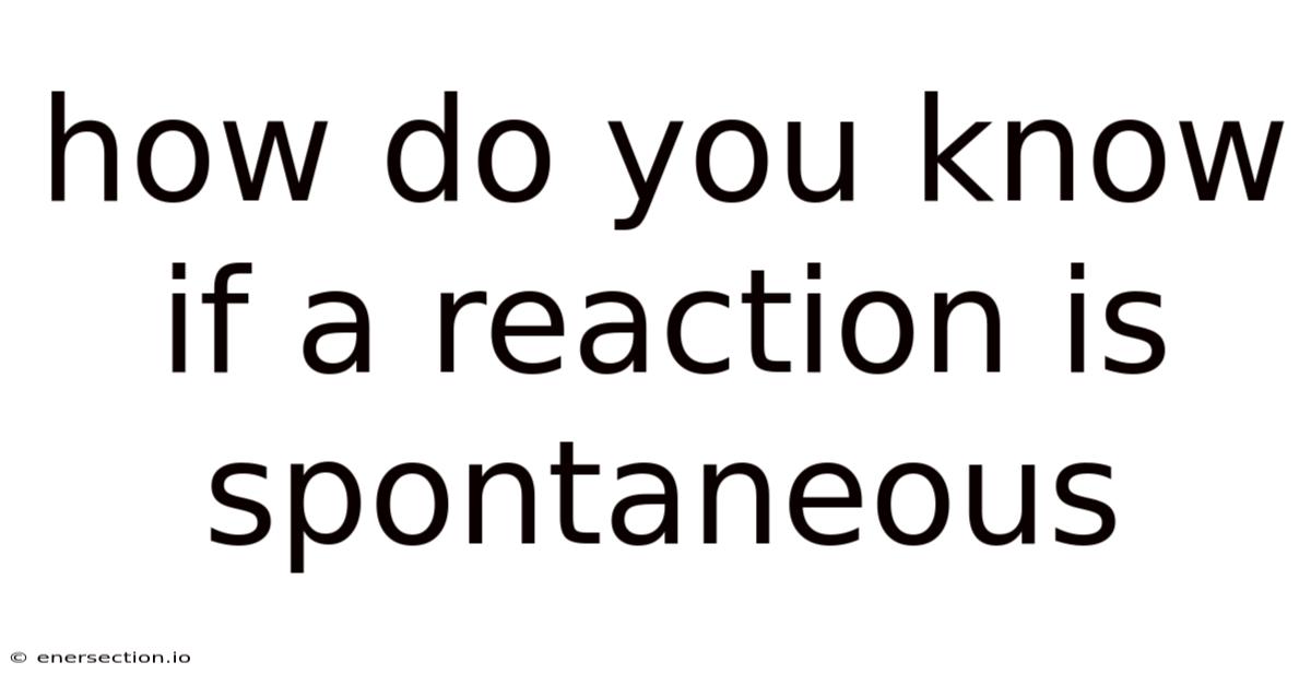 How Do You Know If A Reaction Is Spontaneous