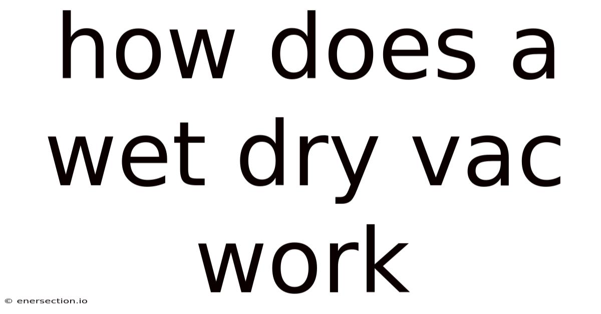 How Does A Wet Dry Vac Work