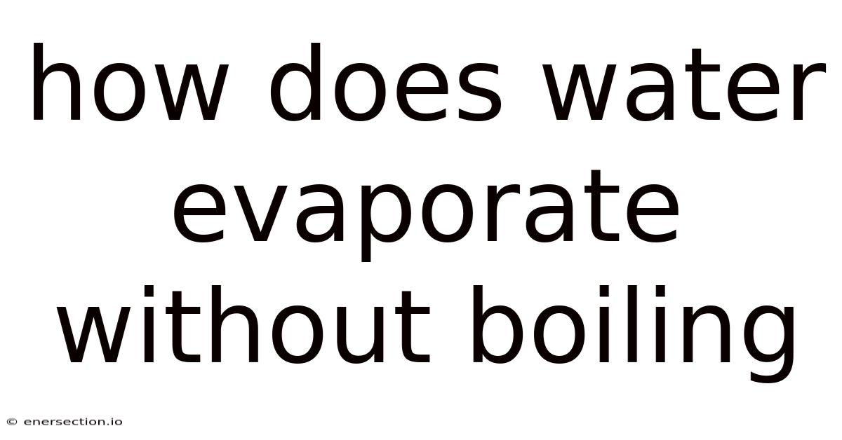 How Does Water Evaporate Without Boiling