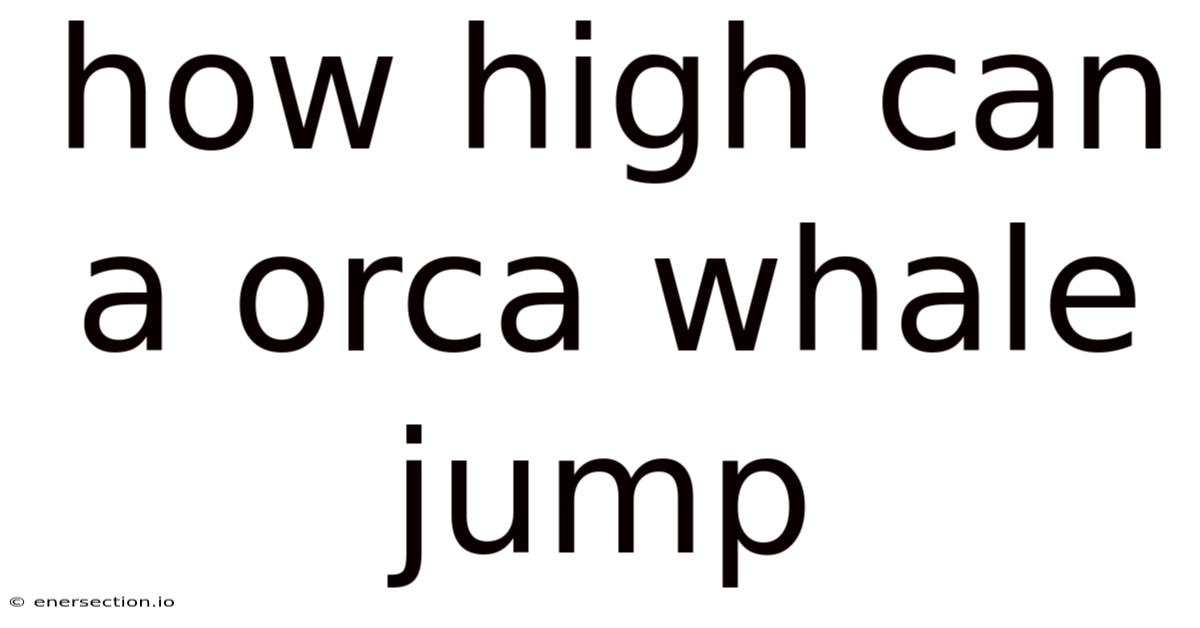 How High Can A Orca Whale Jump