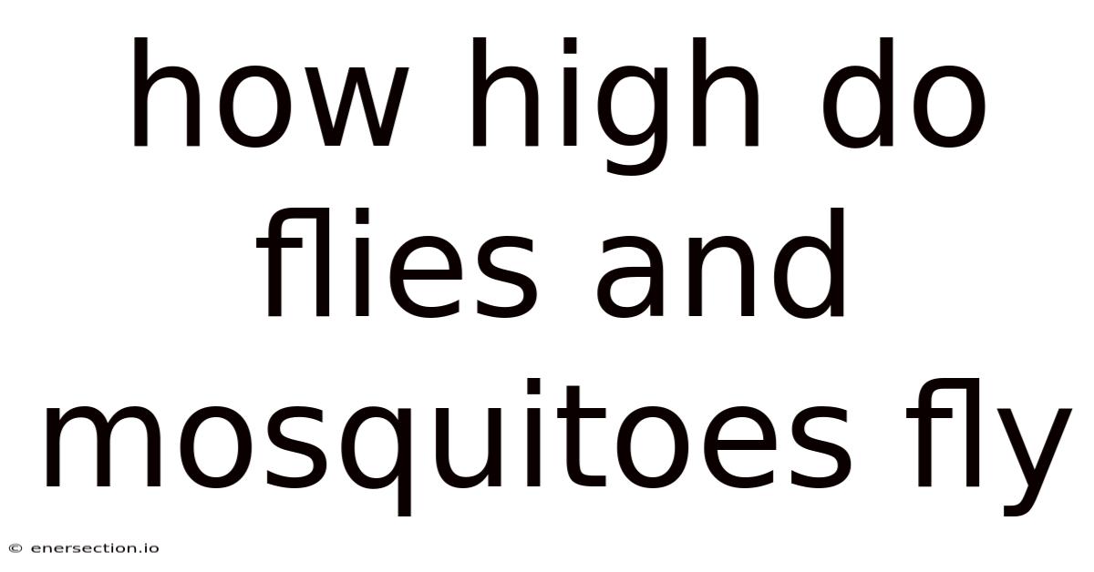 How High Do Flies And Mosquitoes Fly