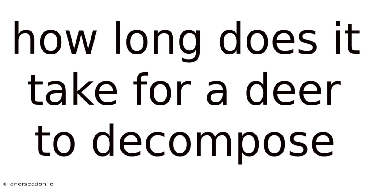 How Long Does It Take For A Deer To Decompose