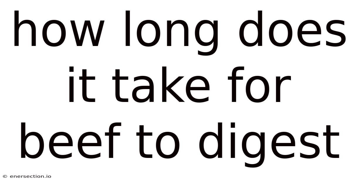 How Long Does It Take For Beef To Digest