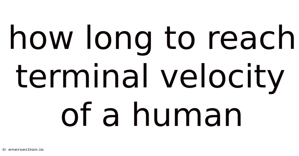 How Long To Reach Terminal Velocity Of A Human