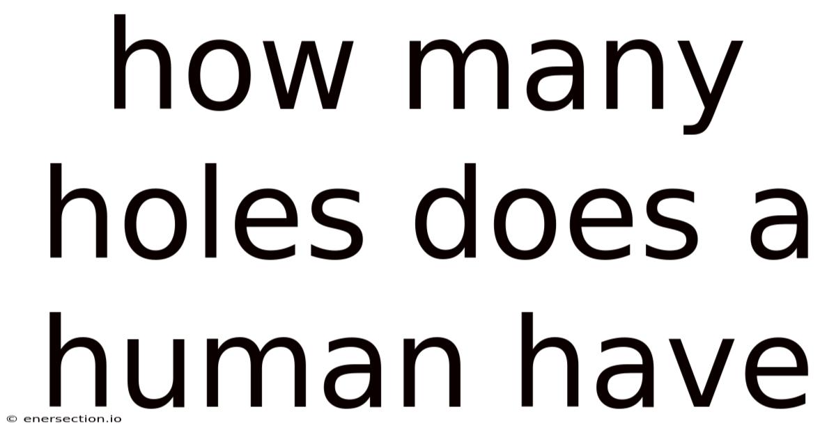 How Many Holes Does A Human Have