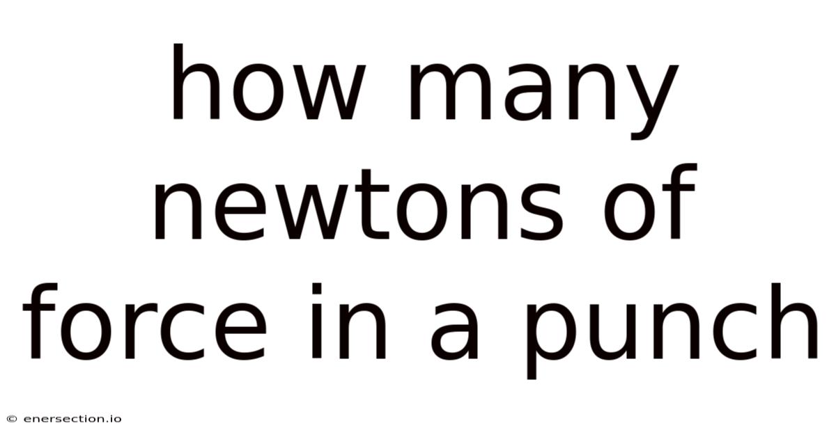 How Many Newtons Of Force In A Punch