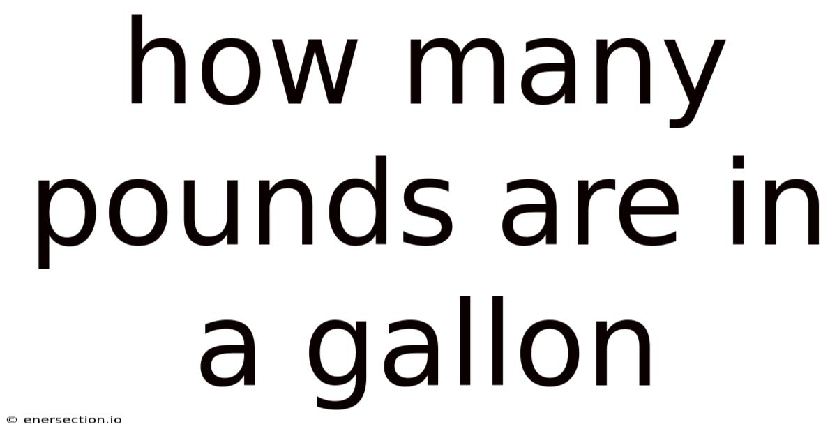 How Many Pounds Are In A Gallon