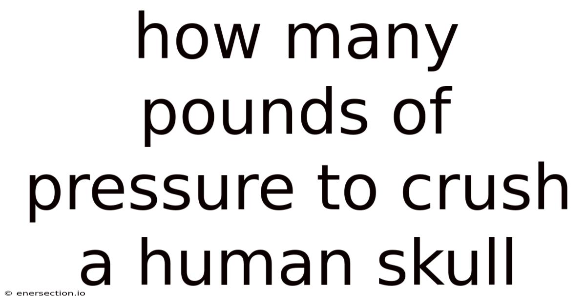 How Many Pounds Of Pressure To Crush A Human Skull