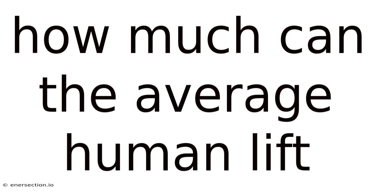 How Much Can The Average Human Lift