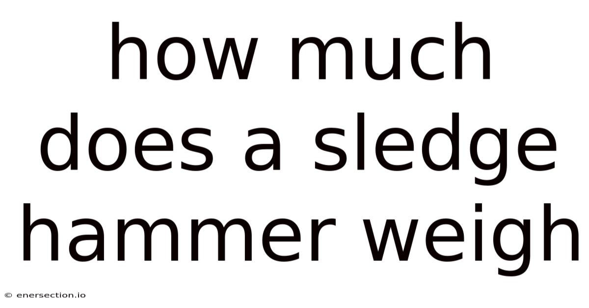 How Much Does A Sledge Hammer Weigh