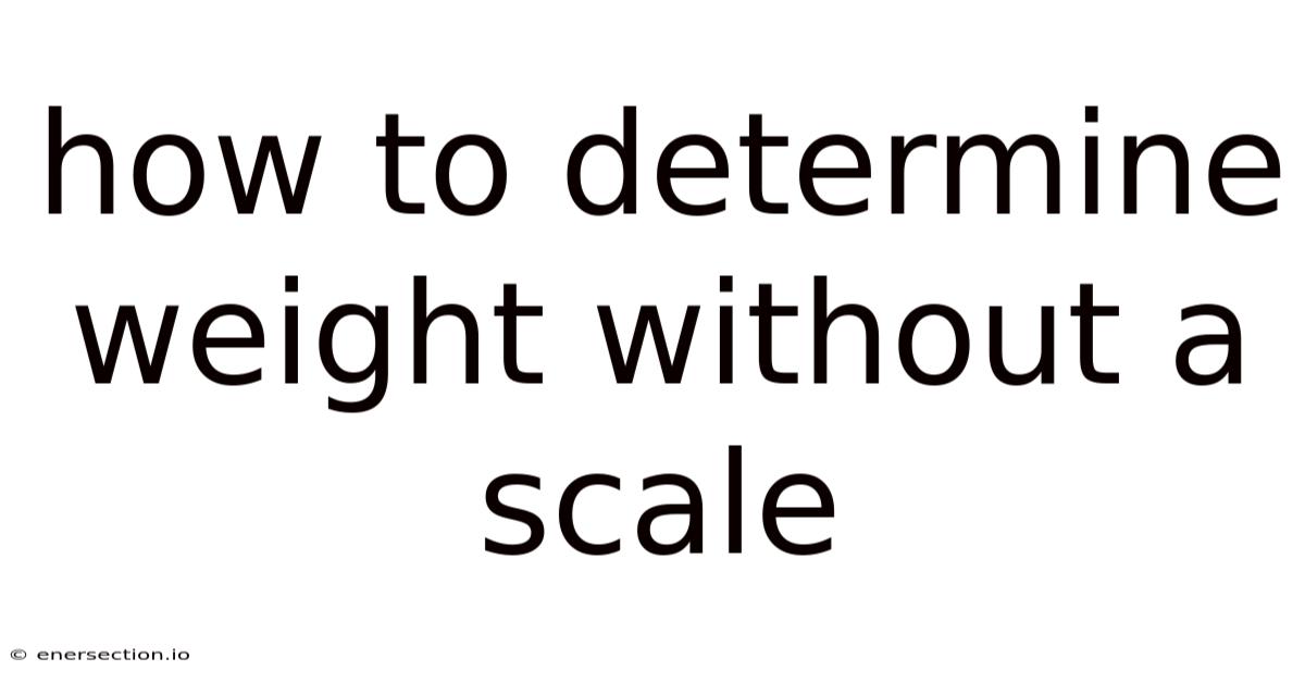 How To Determine Weight Without A Scale
