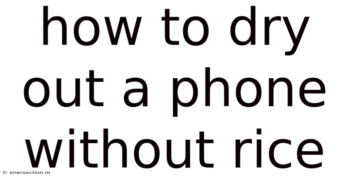 How To Dry Out A Phone Without Rice