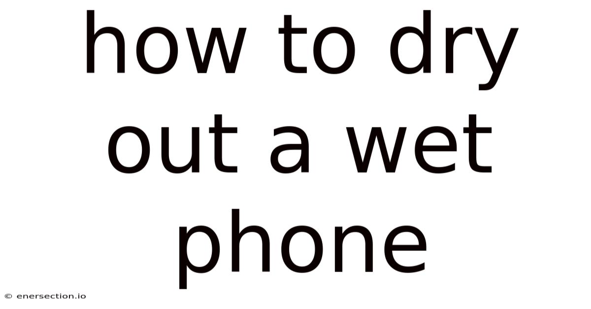 How To Dry Out A Wet Phone