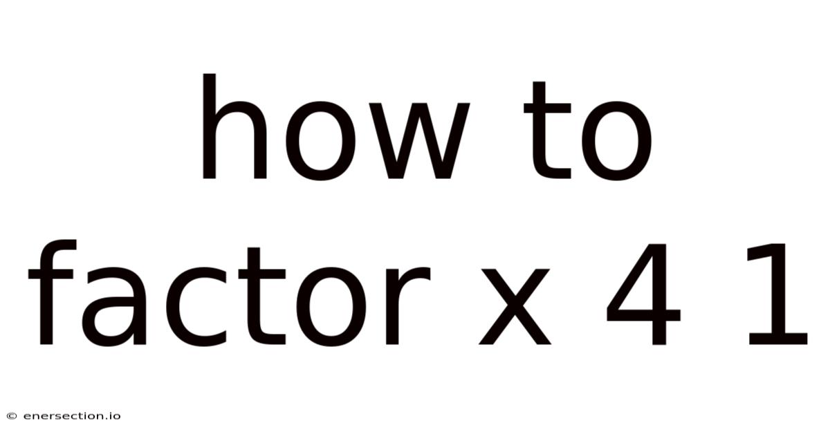 How To Factor X 4 1