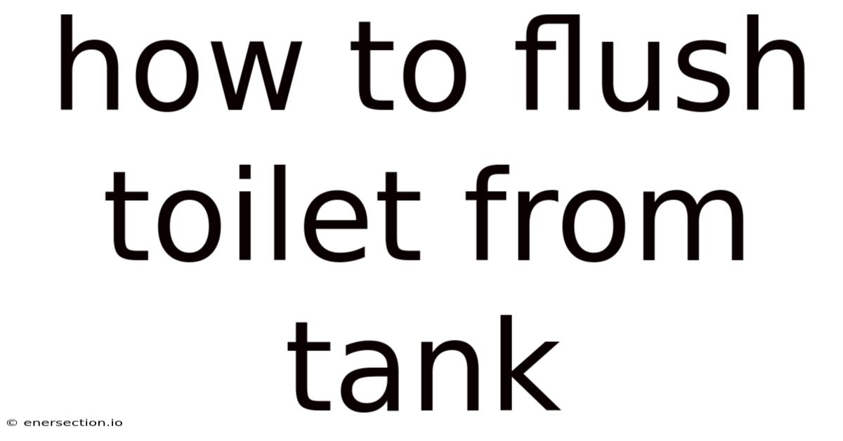 How To Flush Toilet From Tank