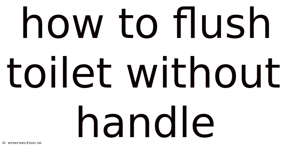 How To Flush Toilet Without Handle