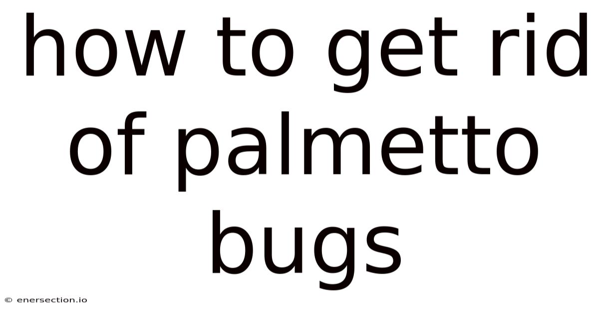How To Get Rid Of Palmetto Bugs
