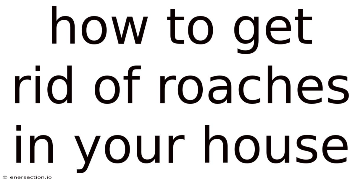 How To Get Rid Of Roaches In Your House