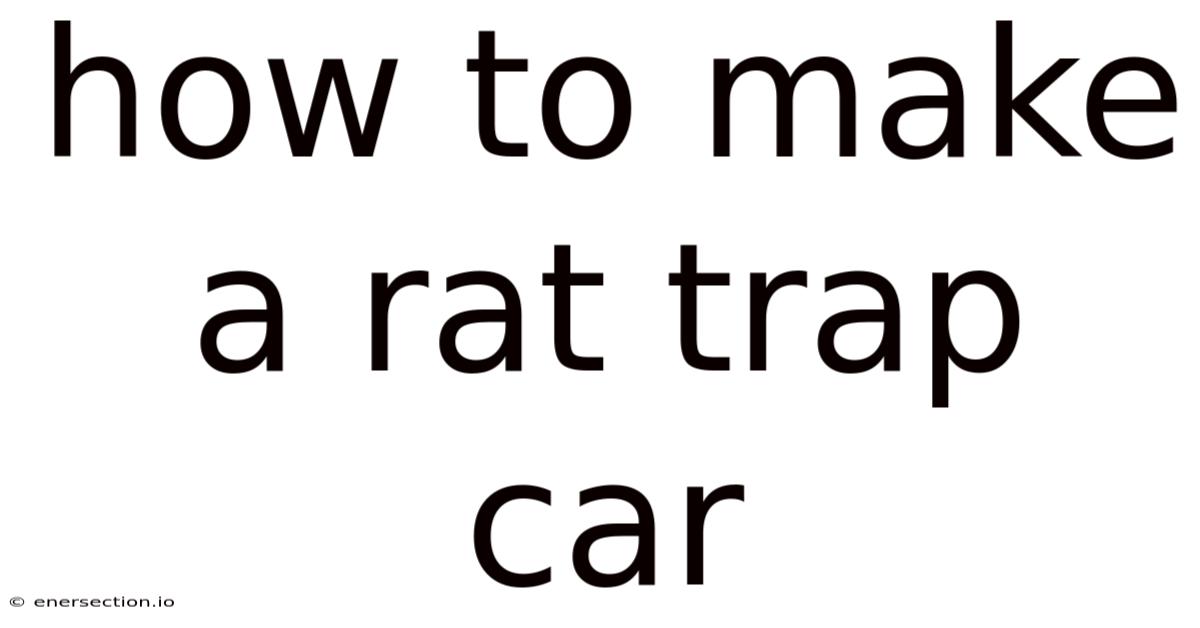 How To Make A Rat Trap Car