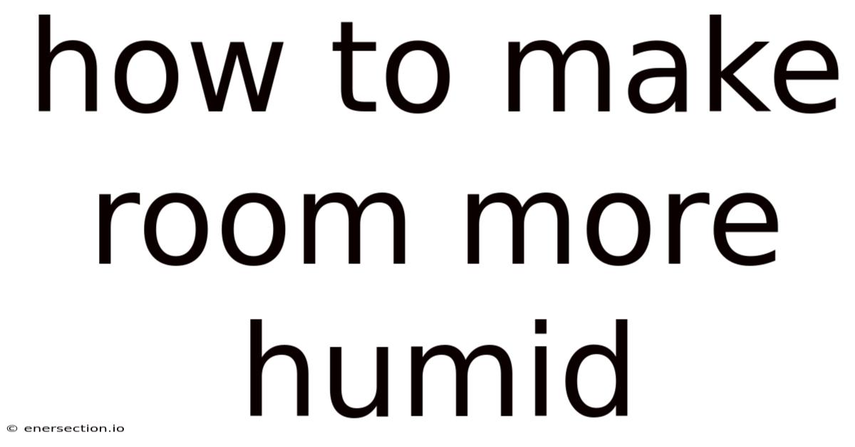 How To Make Room More Humid